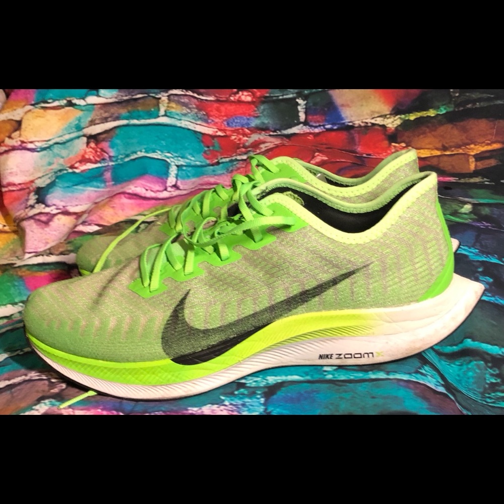 Nike Pegasus Turbo 2